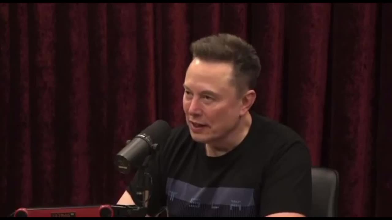 A DEI A.I. Will Have Disasterous Consequences