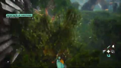 Let's watch another live stream...