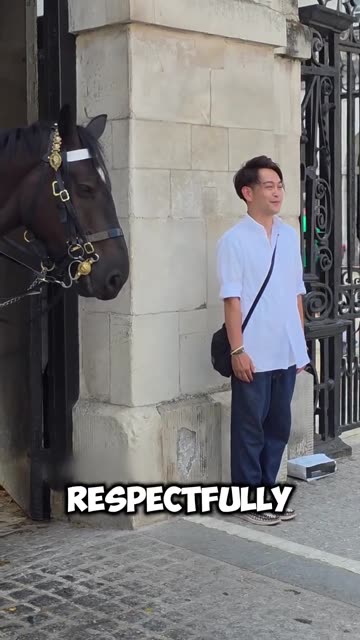 This is how intelligent and respectful the Japanese are!