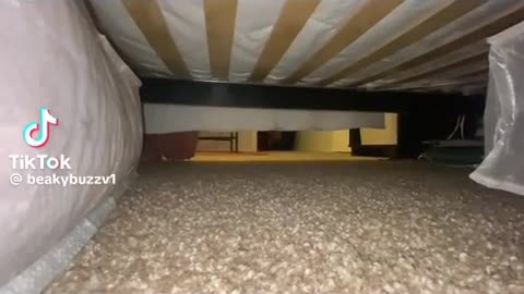 😱👀 A Glimpse into the Unknown! | TheHauntingHour
