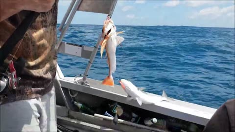 Catching fish on a broken rod