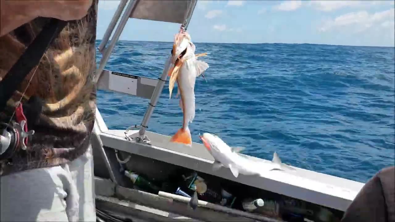 Catching fish on a broken rod