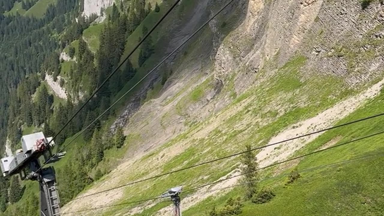 Daily Horoscope | Capricorn 🌟