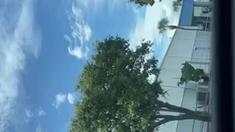 People & blogs, comedy