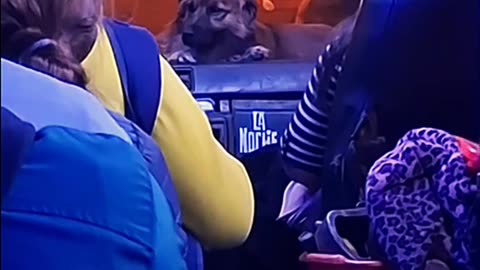 Chofer siempre junto a su perrito