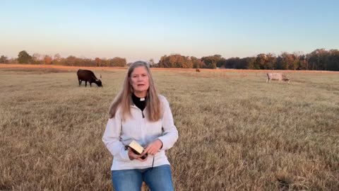 Morning Prayer, Daily Office