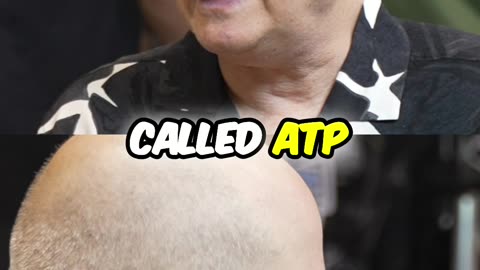 Mitochondria & ATP - The Energy Secret of Life Explained!