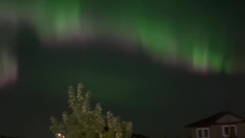 Witnessing the Magic of the Northern Lights