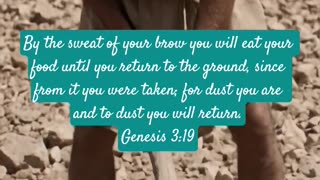 Find Your Zen: Genesis 3:19, Bible Strength Found!
