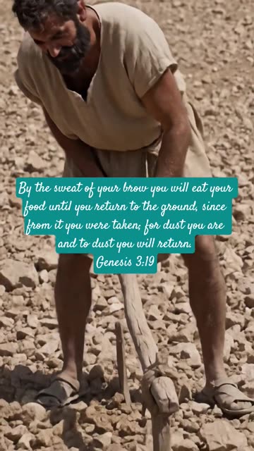 Find Your Zen: Genesis 3:19, Bible Strength Found!