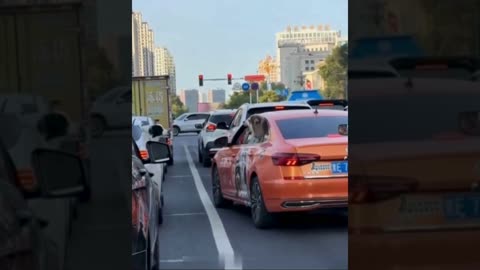 A selection of funny moments with animal #22