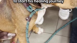 We can’t get over his sweet little face 😭💞