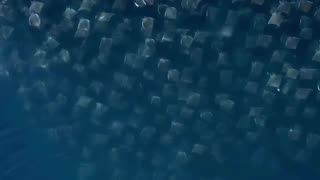 Ray migration