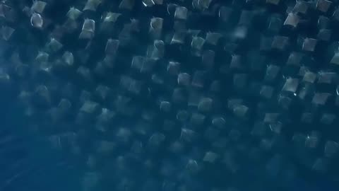Ray migration