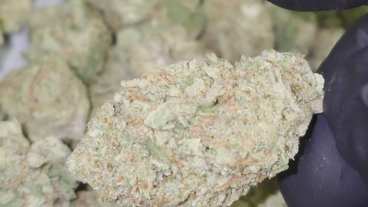 Super Silver Haze THCA Flower