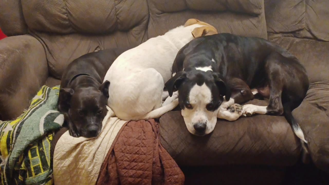 Absurd TV: Hanging Out