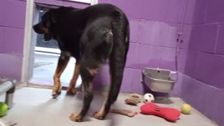 VID_20250926_144919639