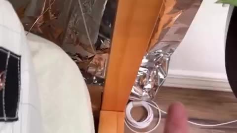 Can you feel the 5G ?? These people are not crazy.