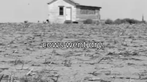 Desperation in the Dust Bowl