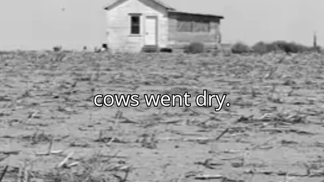 Desperation in the Dust Bowl