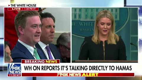 Peter Doocy challenges Karoline Leavitt because Elon Musk 'never wears a suit'