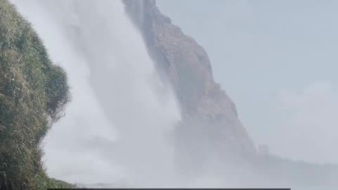 Daily Horoscope | Aquarius 🌟