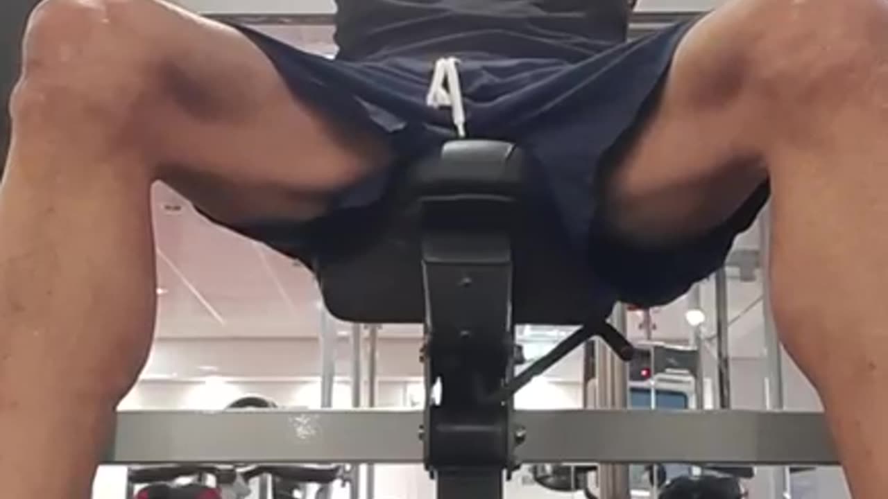 gym dog 14 days fasting gym session