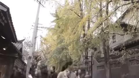 Don't care about the China-U.S. rivalry? Don't be naive!