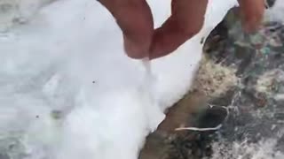 What Kinda Snow is That?