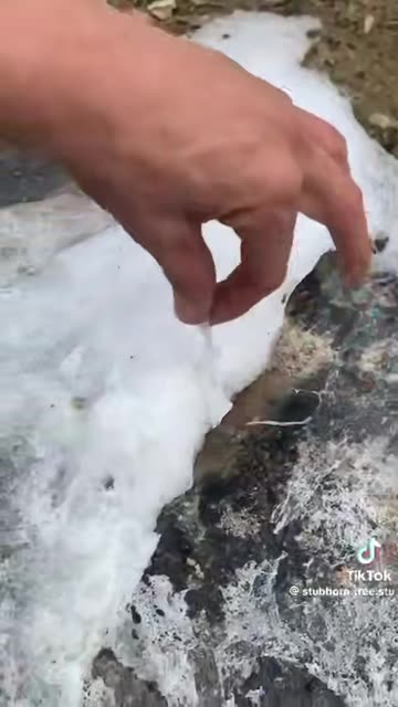 What Kinda Snow is That?