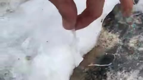 What Kinda Snow is That?