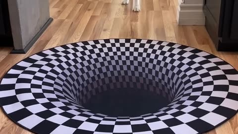 Dogs funny reaction to entering optical illusion rug! #shorts | Funny Weird RMF Media