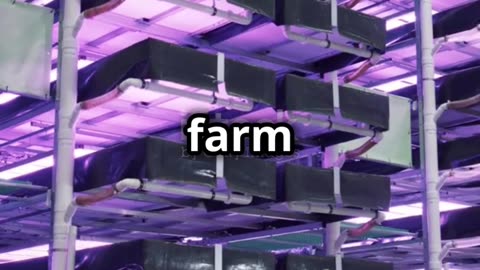 Singapore's Vertical Farming Revolution! 🚀 #shorts