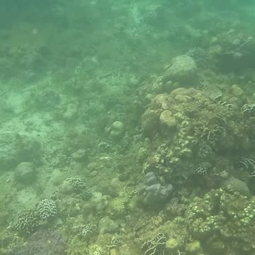 Snorkeling Morning!!