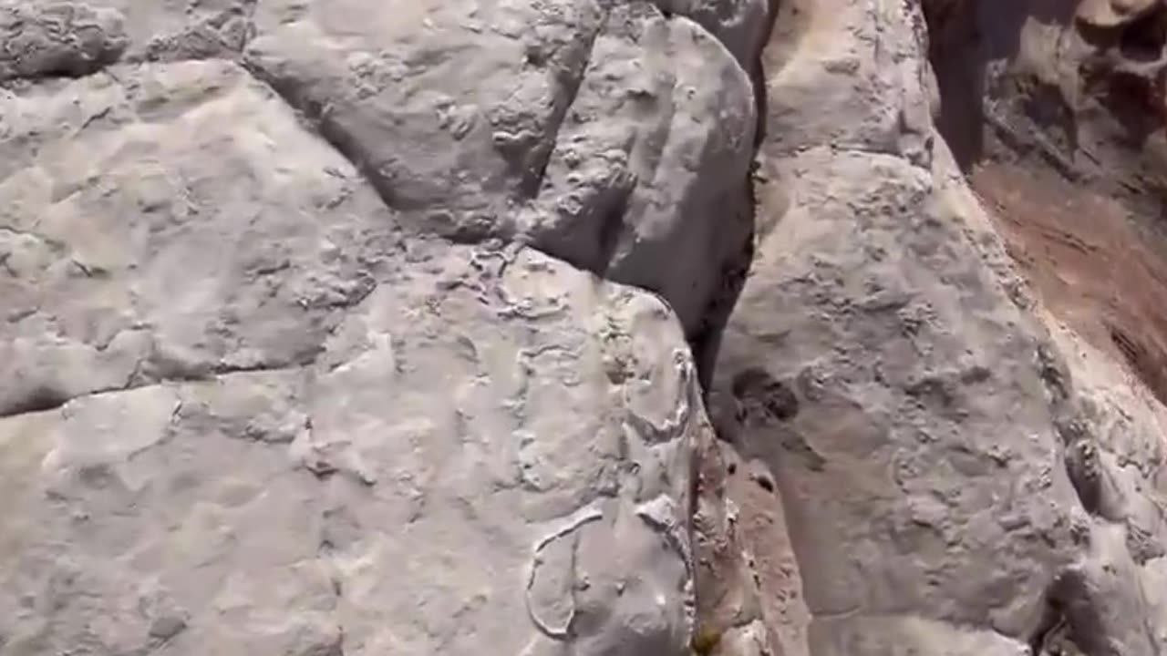 ANCIENT PETRIFIED DRAGON