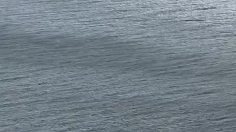 Landing of an EasyJet Airbus A320 at Gibraltar Airport