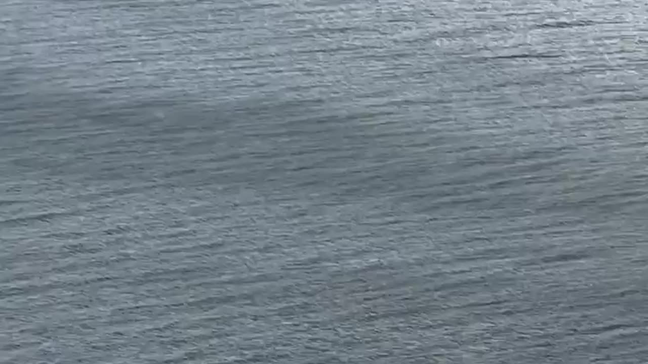 Landing of an EasyJet Airbus A320 at Gibraltar Airport