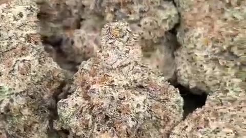 Buy Bulk PSYCHEDELIC,MDMA,CRYSTAL METH,DMT Carts,Researched Chemicals WhatsApp:1(215)-824-5074