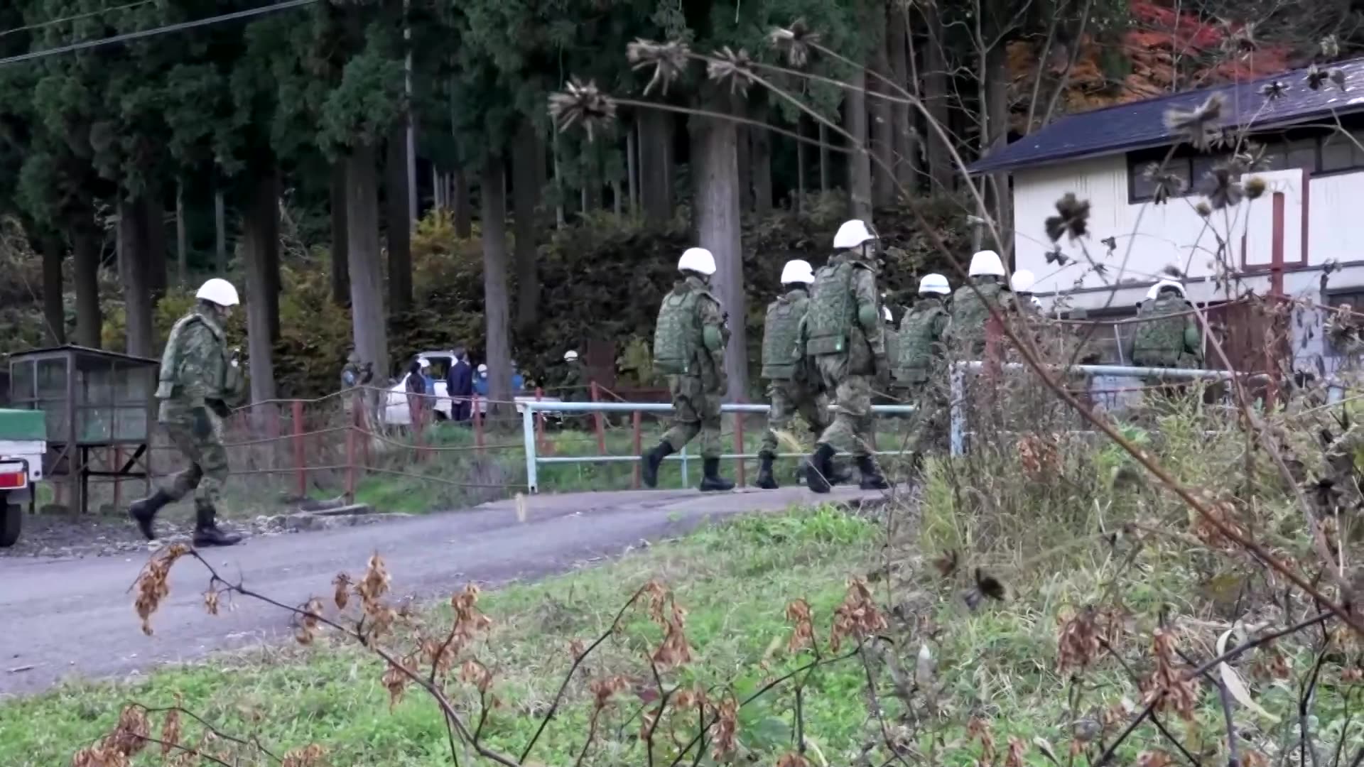 Japan deploys troops to trap bears after record wave of attacks