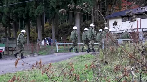 Japan deploys troops to trap bears after record wave of attacks