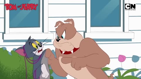 Funny Tom and Jerry_ Tom _ Jerry Get Buffed! _ Who Wins This Workout War