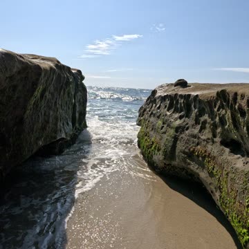 WALK OF ALL BEACH WALKS #sunshine #nostalgia #beach