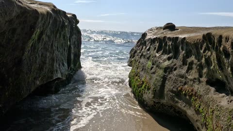 WALK OF ALL BEACH WALKS #sunshine #nostalgia #beach