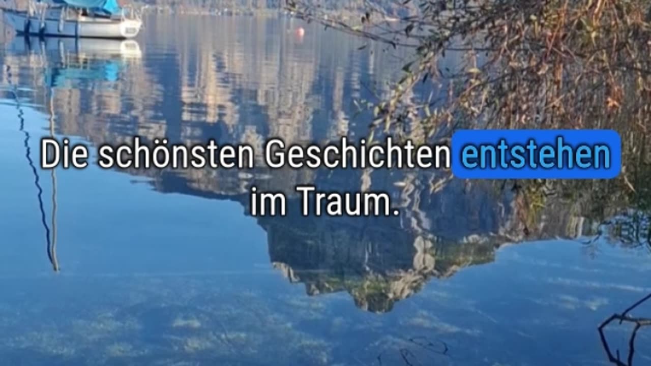 3.Relaxzitate