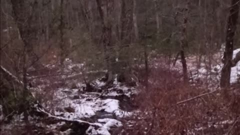 Fiber Optic Sights Do Help!