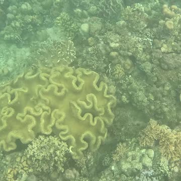 Snorkeling Morning!!