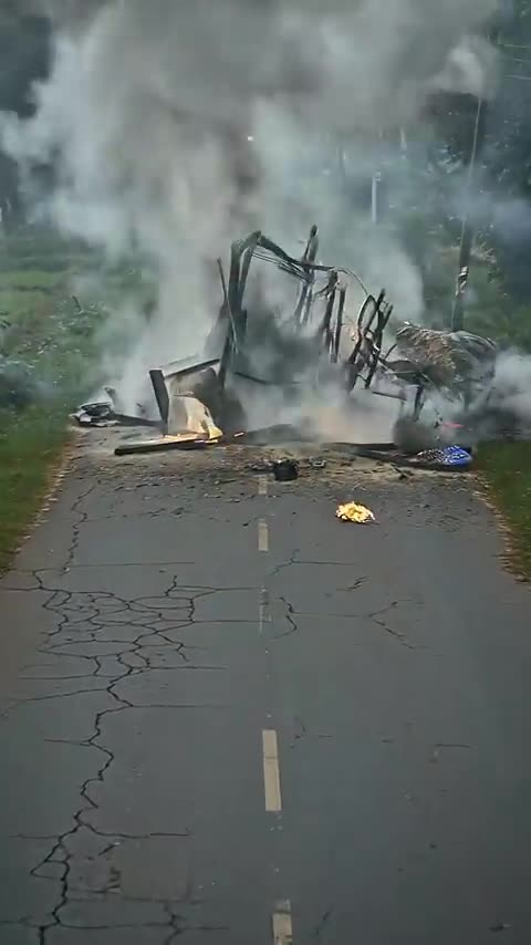 Golden Retriever Saves Bus Passengers' Lives