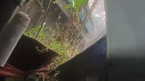 Filipinones need your prayers