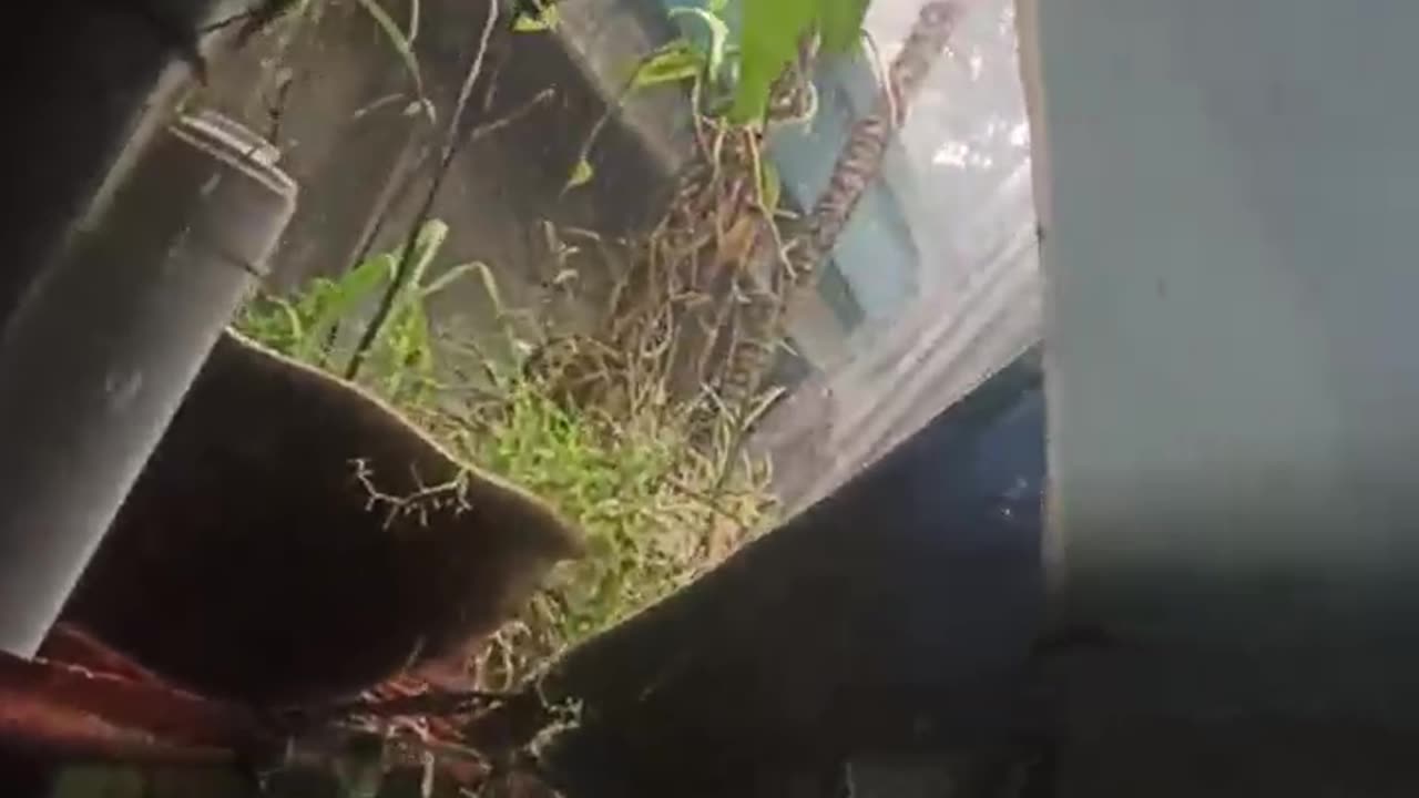 Filipinones need your prayers