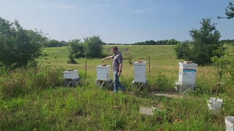 White Mule Farm - A Taste Of The Sweet Life!